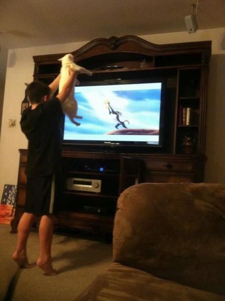 morning picdump 59 pics 3.html - 59 HD Photos | Premium Gallery 2012