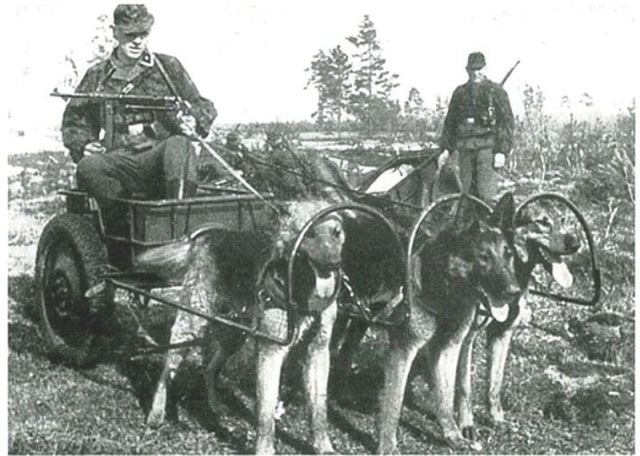 morning picdump 59 pics 3.html - 59 HD Photos | Premium Gallery 2012