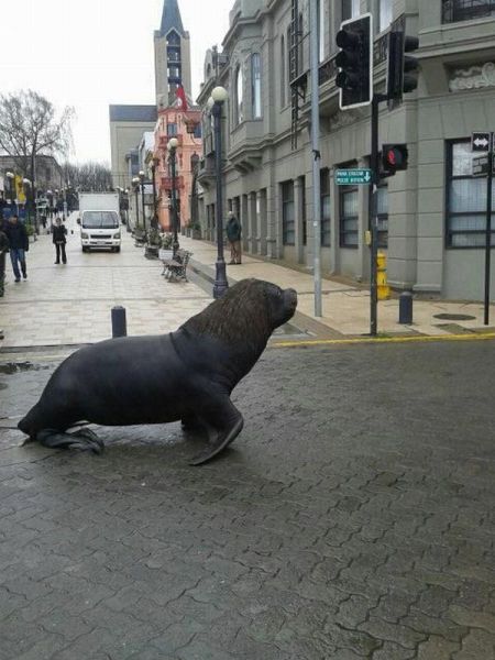 morning picdump 59 pics 3.html - 59 HD Photos | Premium Gallery 2012