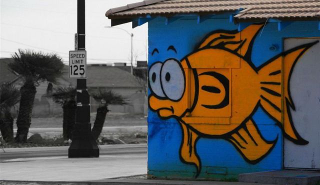 morning picdump 59 pics 3.html - 59 HD Photos | Premium Gallery 2012