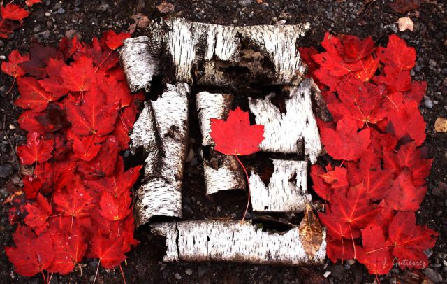 morning picdump 55 pics 15.html - 55 HD Photos | Premium Gallery 2012