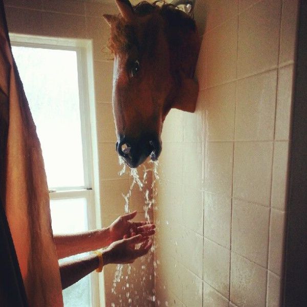 morning picdump 55 pics 15.html - 55 HD Photos | Premium Gallery 2012