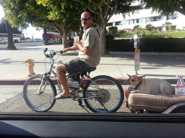 morning picdump 51 pics 2.html - 51 HD Photos | Premium Gallery 2012