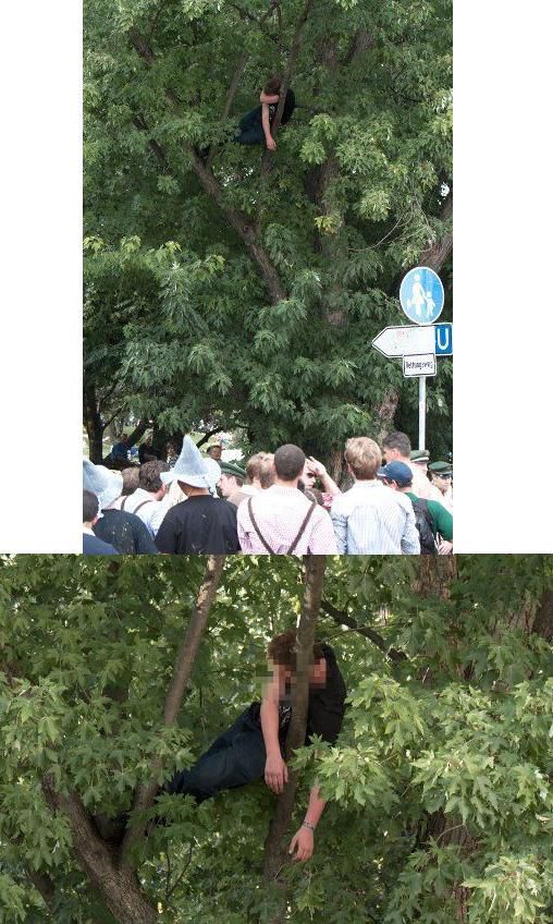 morning picdump 51 pics 2.html - 51 HD Photos | Premium Gallery 2012