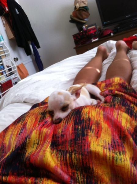 daily picdump 107 pics 12.html - 107 HD Photos | Premium Gallery 2012