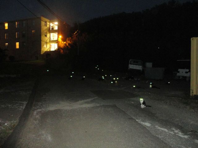 daily picdump 107 pics 12.html - 107 HD Photos | Premium Gallery 2012