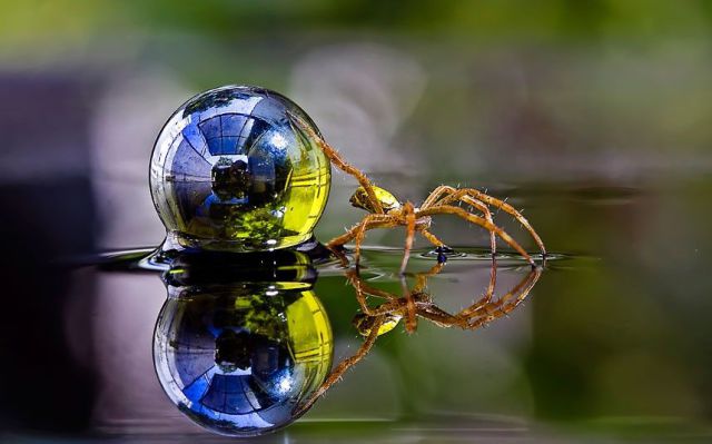 daily picdump 107 pics 12.html - 107 HD Photos | Premium Gallery 2012