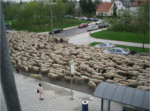 daily picdump 107 pics 12.html - 107 HD Photos | Premium Gallery 2012