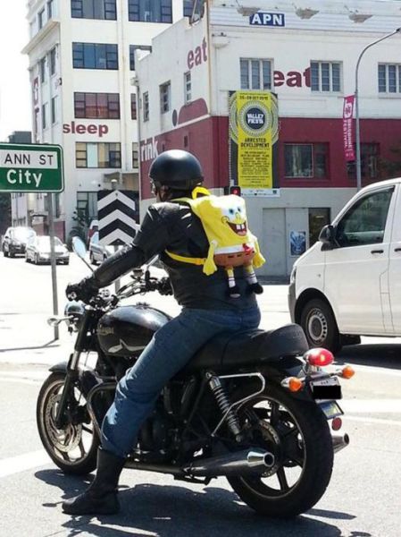 morning picdump 56 pics 1.html - 56 HD Photos | Premium Gallery 2012