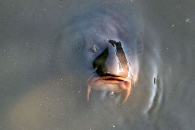 morning picdump 56 pics 1.html - 56 HD Photos | Premium Gallery 2012