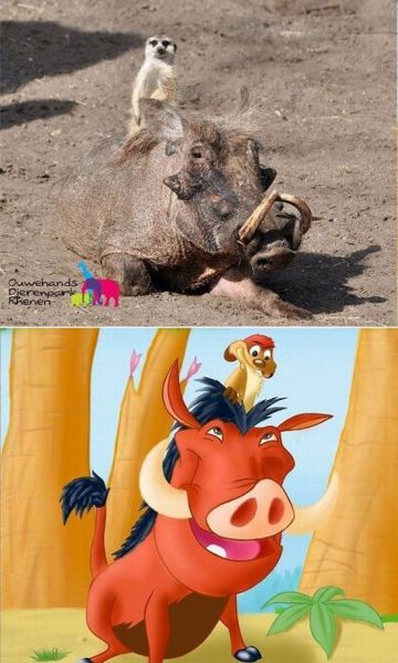 morning picdump 56 pics 1.html - 56 HD Photos | Premium Gallery 2012