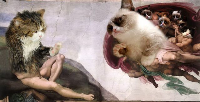 morning picdump 56 pics 1.html - 56 HD Photos | Premium Gallery 2012