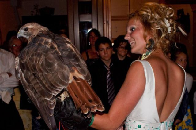 morning picdump 56 pics 1.html - 56 HD Photos | Premium Gallery 2012