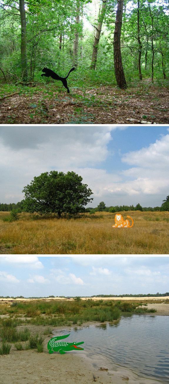 morning picdump 56 pics 1.html - 56 HD Photos | Premium Gallery 2012