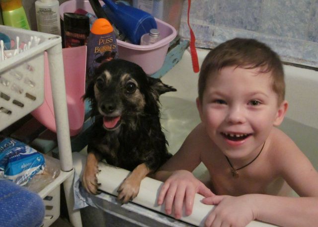 daily picdump 101 pics 1.html - 101 HD Photos | Premium Gallery 2012