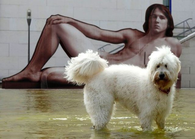 daily picdump 101 pics 1.html - 101 HD Photos | Premium Gallery 2012