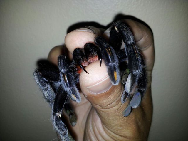 daily picdump 101 pics 1.html - 101 HD Photos | Premium Gallery 2012
