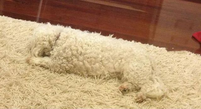 daily picdump 101 pics 1.html - 101 HD Photos | Premium Gallery 2012