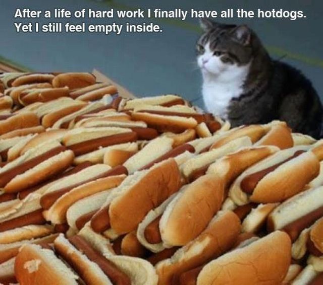daily picdump 101 pics 1.html - 101 HD Photos | Premium Gallery 2012
