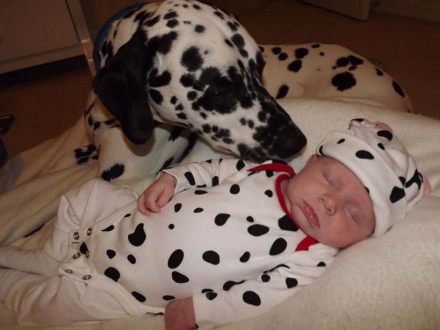 morning picdump 53 pics 17.html - 53 HD Photos | Premium Gallery 2012