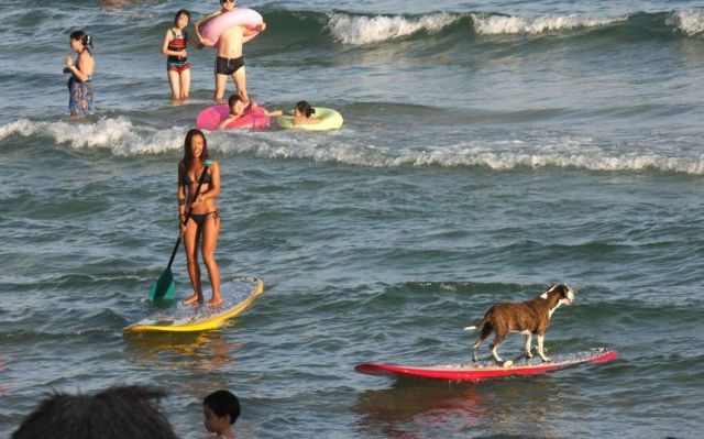morning picdump 53 pics 17.html - 53 HD Photos | Premium Gallery 2012