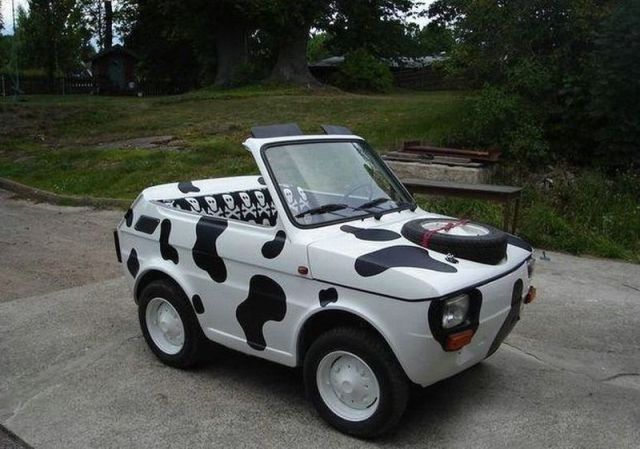 morning picdump 53 pics 17.html - 53 HD Photos | Premium Gallery 2012