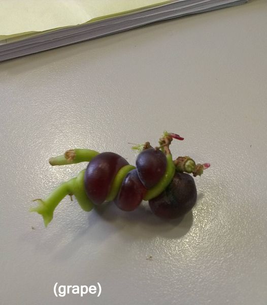 morning picdump 52 pics 9.html - 52 HD Photos | Premium Gallery 2012