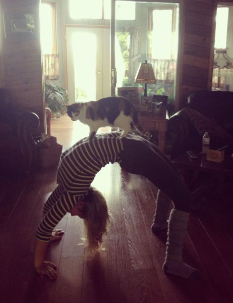 morning picdump 52 pics 9.html - 52 HD Photos | Premium Gallery 2012