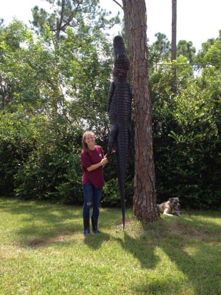 Daily Picdump [WEEKEND EDITION]