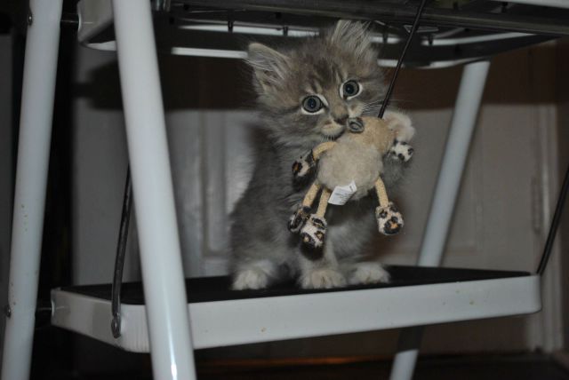 Daily Picdump [WEEKEND EDITION]