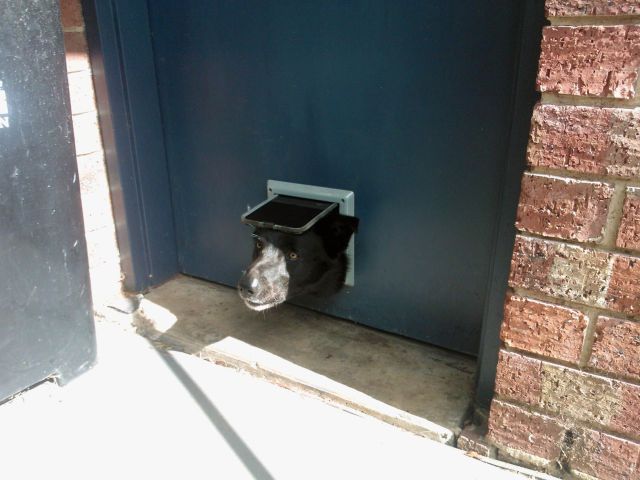 daily picdump weekend edition 91 pics 2.html - 91 HD Photos | Premium Gallery 2012