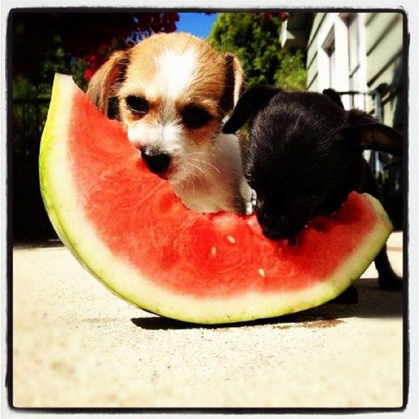 daily picdump weekend edition 91 pics 2.html - 91 HD Photos | Premium Gallery 2012