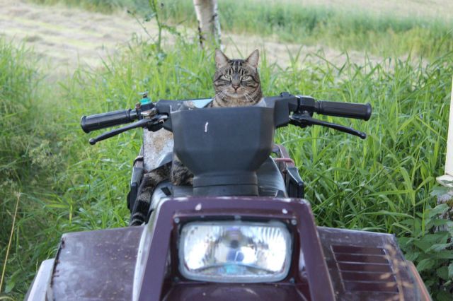 daily picdump weekend edition 91 pics 2.html - 91 HD Photos | Premium Gallery 2012