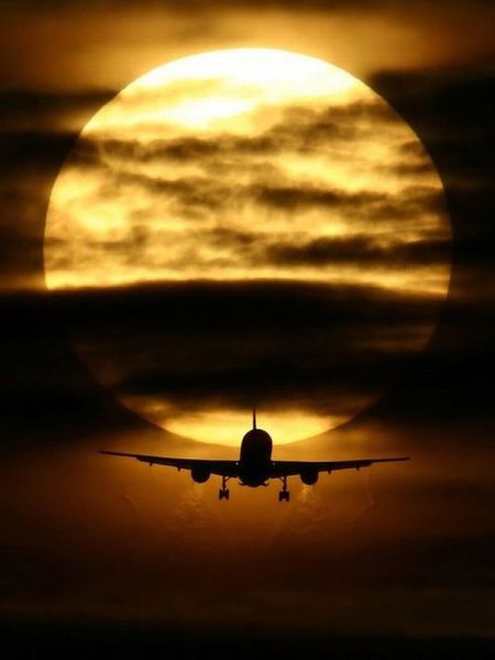 daily picdump weekend edition 91 pics 2.html - 91 HD Photos | Premium Gallery 2012