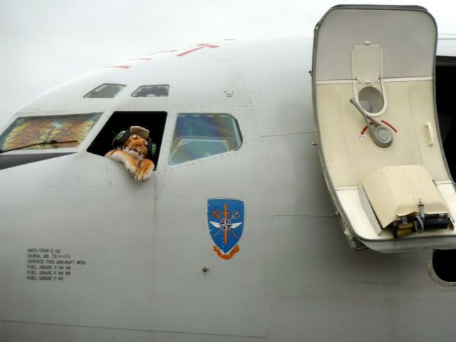 daily picdump weekend edition 91 pics 2.html - 91 HD Photos | Premium Gallery 2012