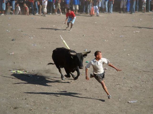 daily picdump weekend edition 91 pics 2.html - 91 HD Photos | Premium Gallery 2012