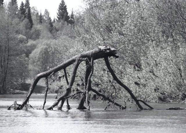 daily picdump weekend edition 91 pics 2.html - 91 HD Photos | Premium Gallery 2012