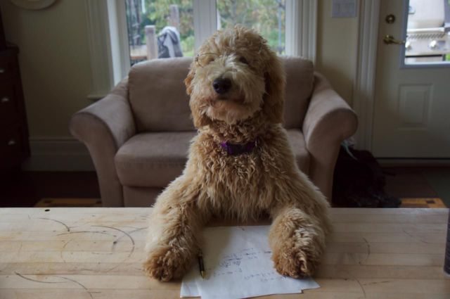 daily picdump weekend edition 91 pics 2.html - 91 HD Photos | Premium Gallery 2012