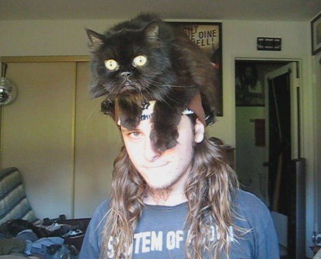 daily picdump 103 pics 15.html - 103 HD Photos | Premium Gallery 2012