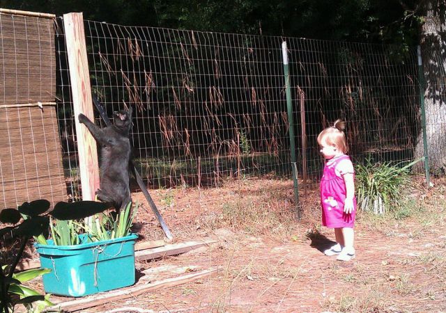 daily picdump 103 pics 15.html - 103 HD Photos | Premium Gallery 2012