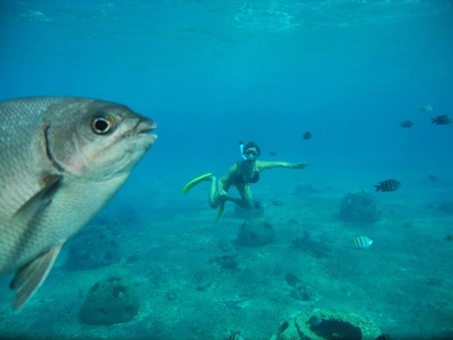 daily picdump 103 pics 15.html - 103 HD Photos | Premium Gallery 2012