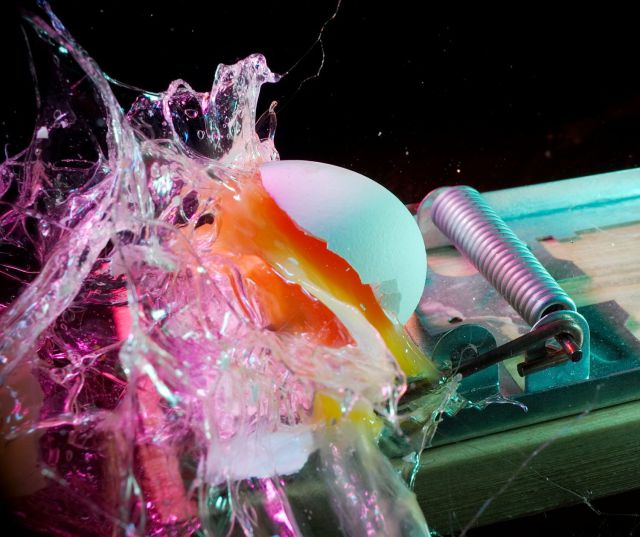 morning picdump 50 pics 28.html - 50 HD Photos | Premium Gallery 2012