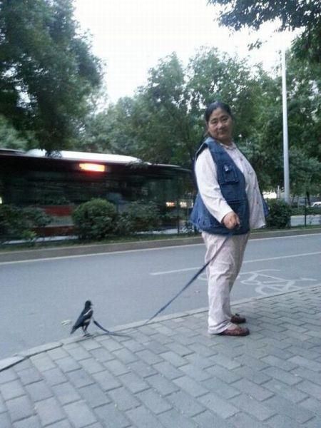 morning picdump 50 pics 28.html - 50 HD Photos | Premium Gallery 2012