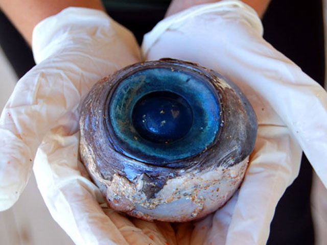 Halloween Costumes Made Easy