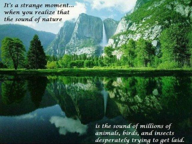 morning picdump 55 pics 9.html - 55 HD Photos | Premium Gallery 2012