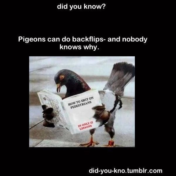 morning picdump 55 pics 9.html - 55 HD Photos | Premium Gallery 2012