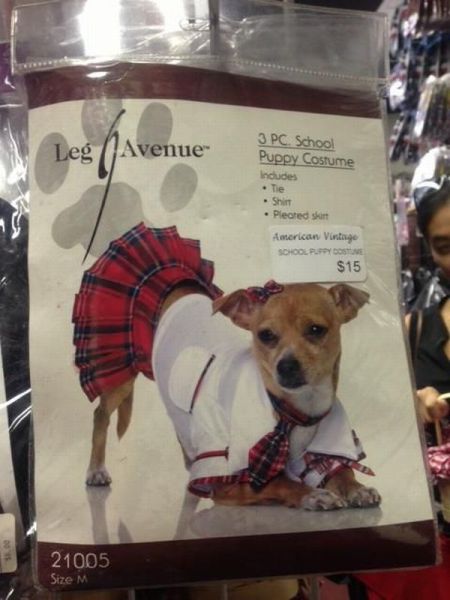 morning picdump 55 pics 9.html - 55 HD Photos | Premium Gallery 2012