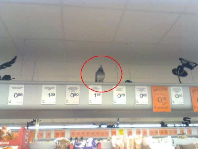 In Latvia They Do Things Slightly Differently