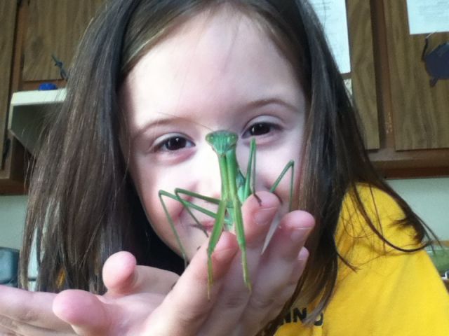 morning picdump 54 pics 17.html - 54 HD Photos | Premium Gallery 2012