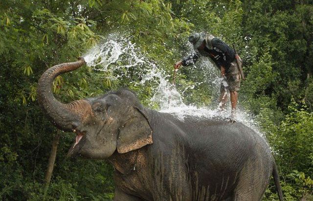 daily picdump 98 pics 28.html - 98 HD Photos | Premium Gallery 2012